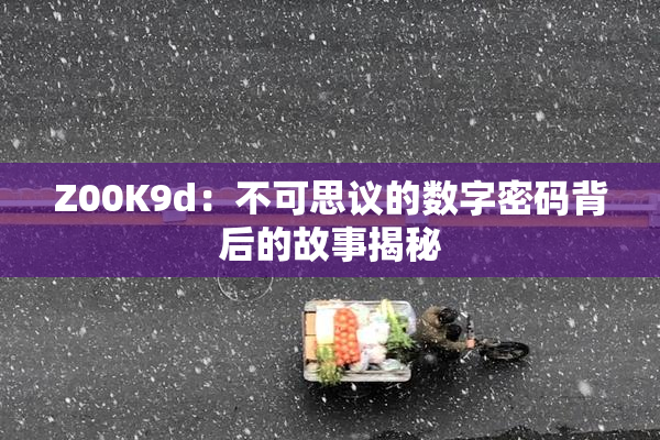 Z00K9d：不可思议的数字密码背后的故事揭秘
