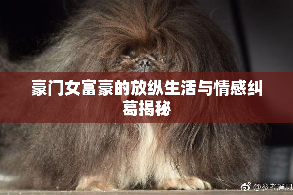 豪门女富豪的放纵生活与情感纠葛揭秘