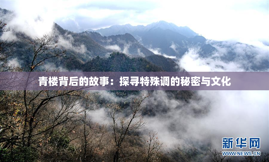 青楼背后的故事：探寻特殊调的秘密与文化