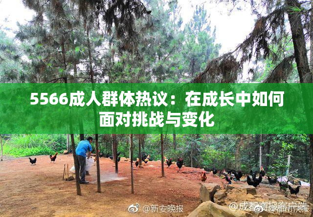 5566成人群体热议：在成长中如何面对挑战与变化