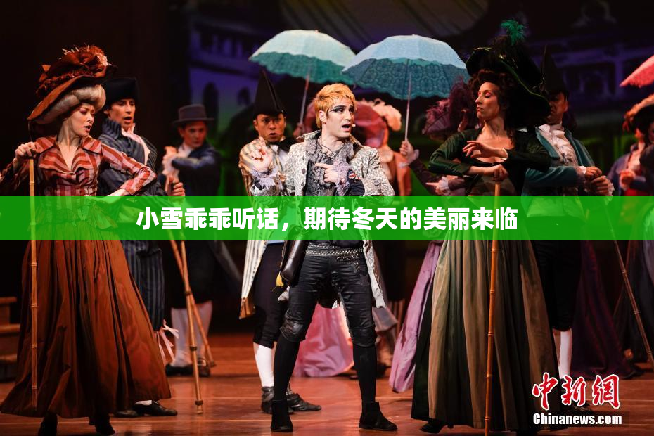小雪乖乖听话，期待冬天的美丽来临