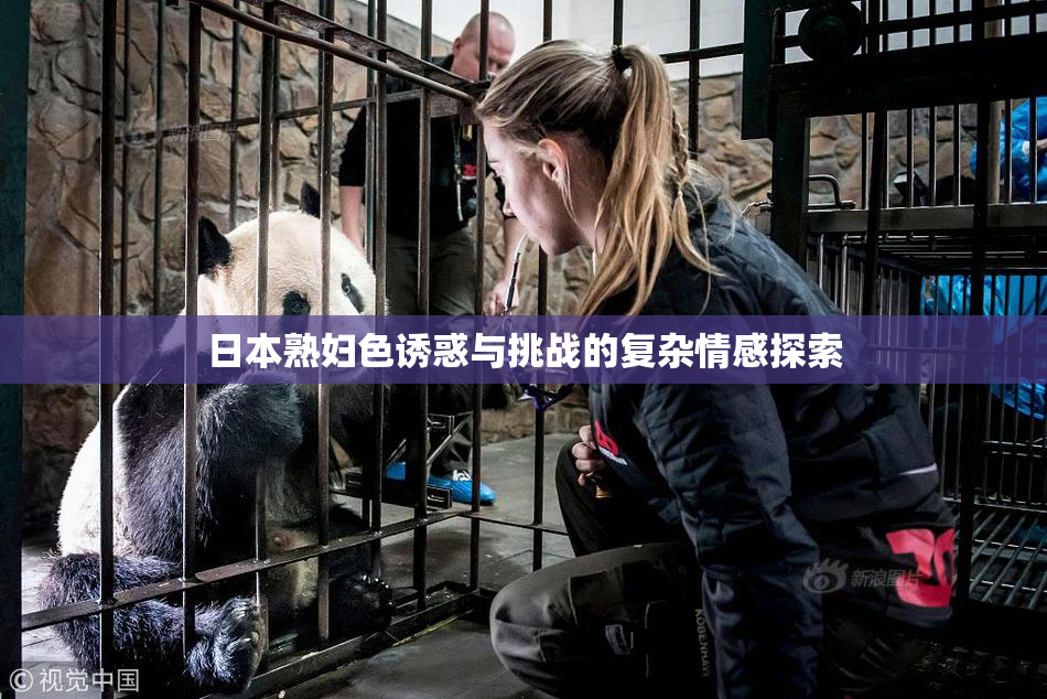 日本熟妇色诱惑与挑战的复杂情感探索