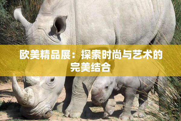 欧美精品展：探索时尚与艺术的完美结合