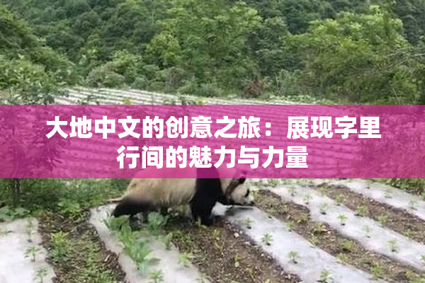 大地中文的创意之旅：展现字里行间的魅力与力量