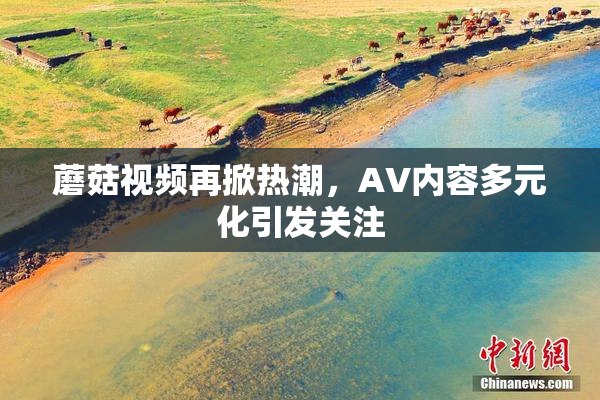 蘑菇视频再掀热潮，AV内容多元化引发关注