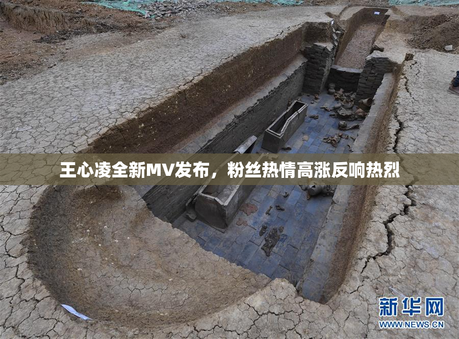 王心凌全新MV发布，粉丝热情高涨反响热烈