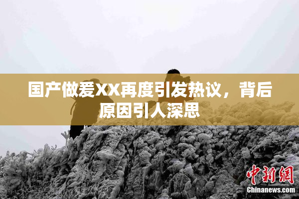 国产做爰XX再度引发热议，背后原因引人深思
