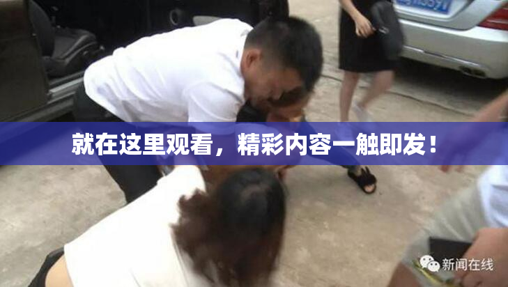 就在这里观看，精彩内容一触即发！
