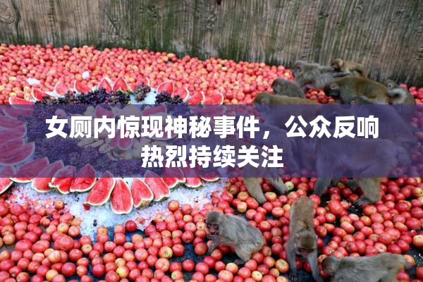 女厕内惊现神秘事件，公众反响热烈持续关注