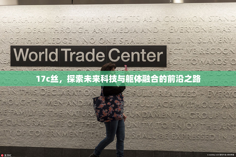 17c丝，探索未来科技与躯体融合的前沿之路
