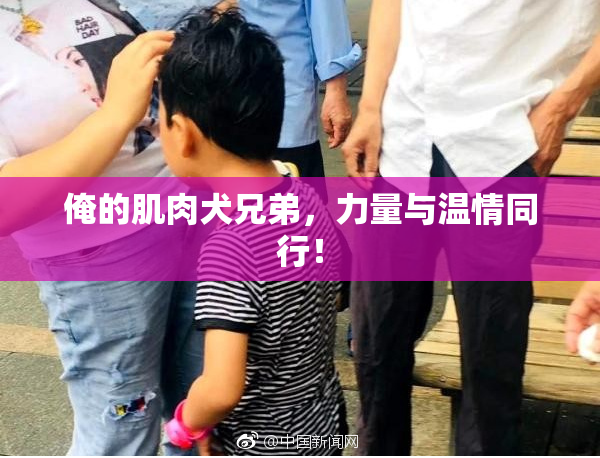 俺的肌肉犬兄弟，力量与温情同行！