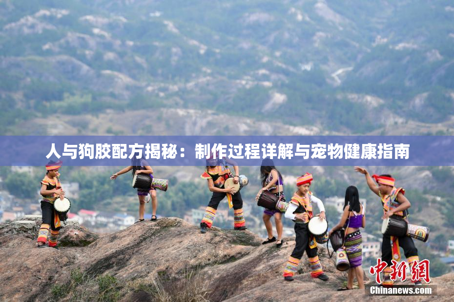 人与狗胶配方揭秘：制作过程详解与宠物健康指南