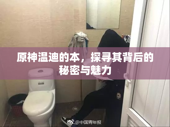 原神温迪的本，探寻其背后的秘密与魅力