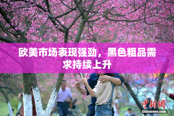 欧美市场表现强劲，黑色粗品需求持续上升
