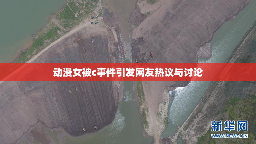 动漫女被c事件引发网友热议与讨论