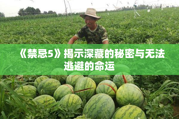 《禁忌5》揭示深藏的秘密与无法逃避的命运
