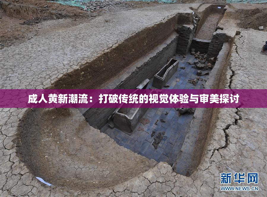 成人黄新潮流：打破传统的视觉体验与审美探讨