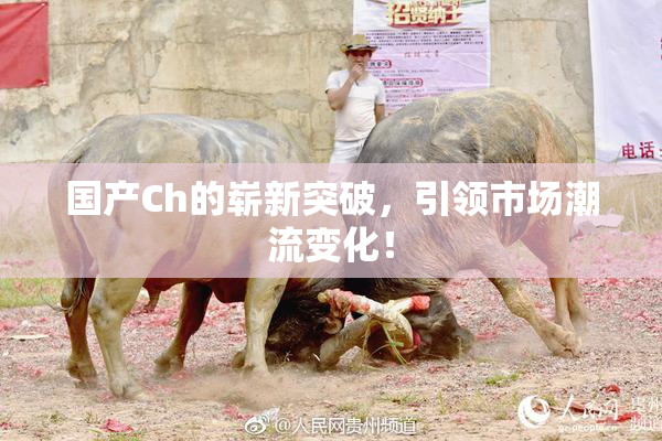 国产Ch的崭新突破，引领市场潮流变化！