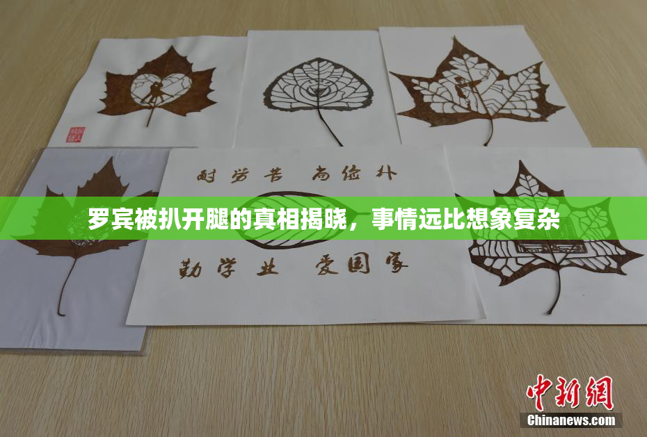 罗宾被扒开腿的真相揭晓，事情远比想象复杂