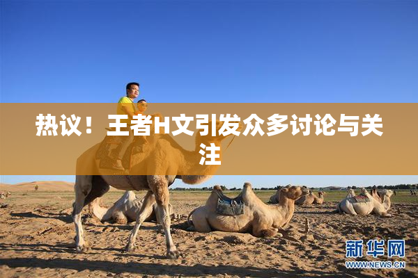 热议！王者H文引发众多讨论与关注