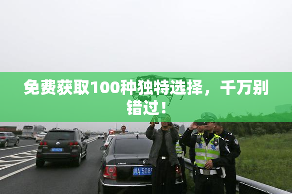 免费获取100种独特选择，千万别错过！