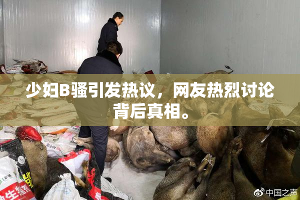少妇B骚引发热议，网友热烈讨论背后真相。