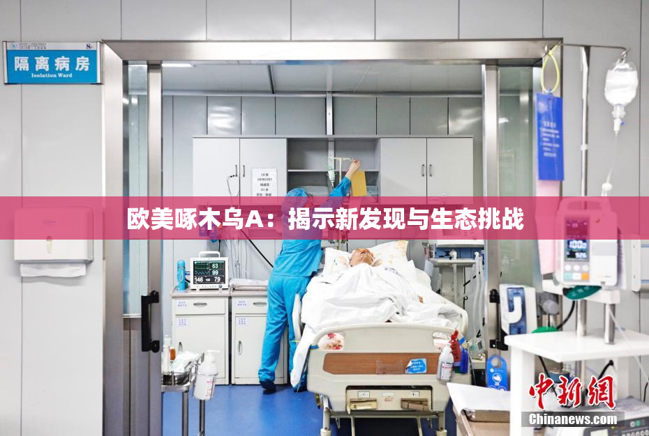 欧美啄木乌A：揭示新发现与生态挑战
