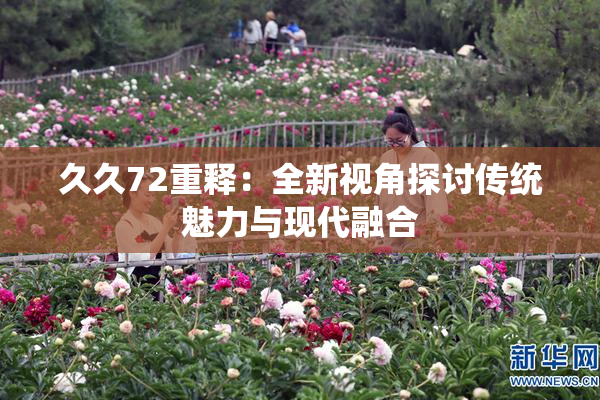 久久72重释：全新视角探讨传统魅力与现代融合