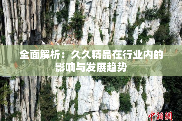全面解析：久久精品在行业内的影响与发展趋势