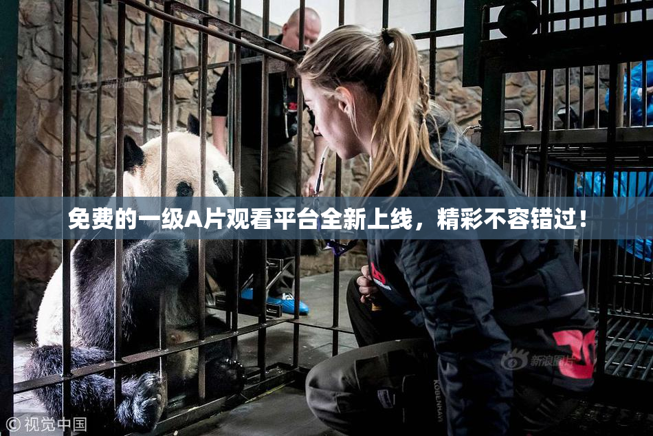 免费的一级A片观看平台全新上线，精彩不容错过！