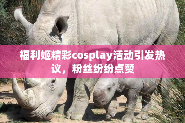 福利姬精彩cosplay活动引发热议，粉丝纷纷点赞