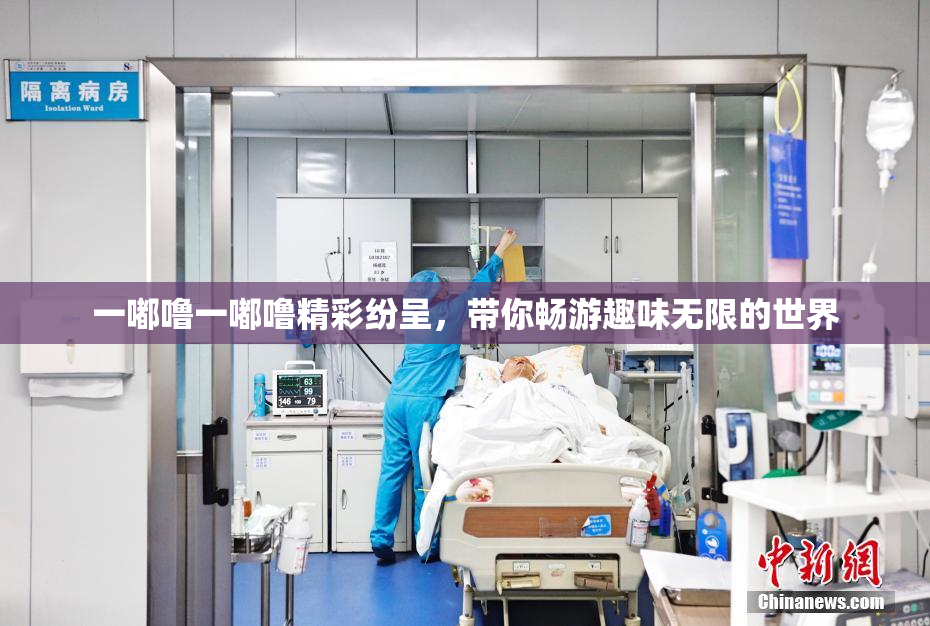 一嘟噜一嘟噜精彩纷呈，带你畅游趣味无限的世界