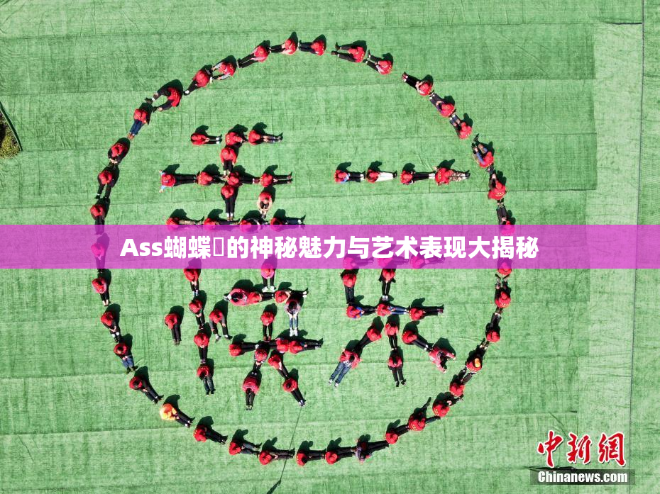 Ass蝴蝶泬的神秘魅力与艺术表现大揭秘