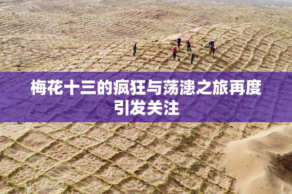 梅花十三的疯狂与荡漶之旅再度引发关注