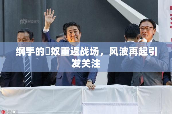 纲手的婬奴重返战场，风波再起引发关注
