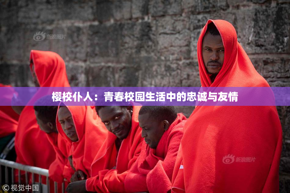 樱校仆人：青春校园生活中的忠诚与友情