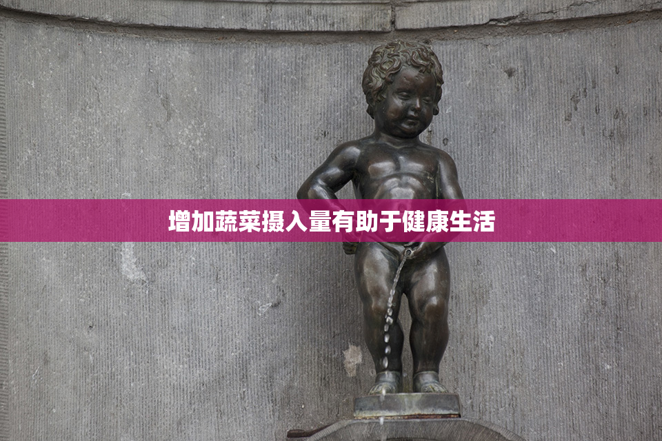 增加蔬菜摄入量有助于健康生活
