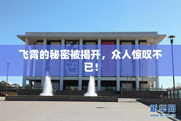 飞霄的秘密被揭开，众人惊叹不已！