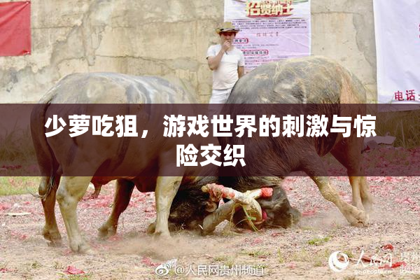 少萝吃狙，游戏世界的刺激与惊险交织