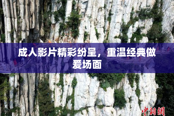 成人影片精彩纷呈，重温经典做爰场面
