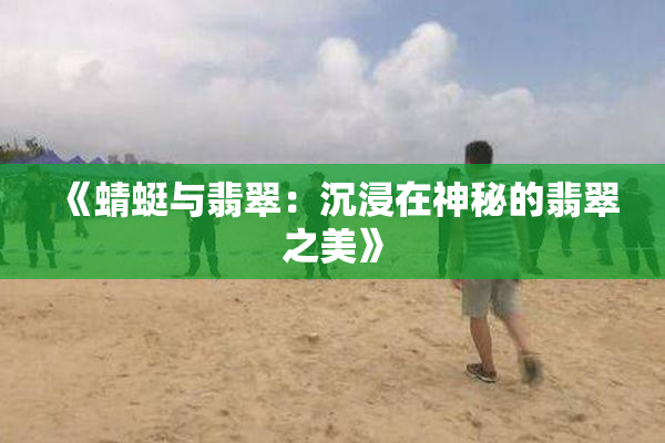 《蜻蜓与翡翠：沉浸在神秘的翡翠之美》