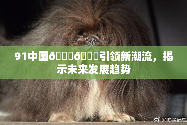 91中国🍆🍑引领新潮流，揭示未来发展趋势