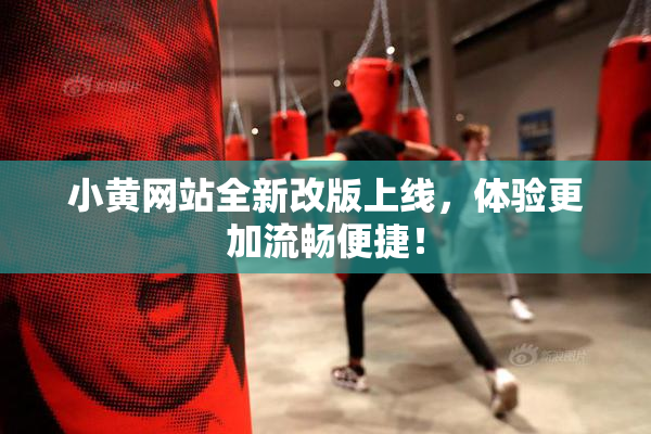 小黄网站全新改版上线，体验更加流畅便捷！