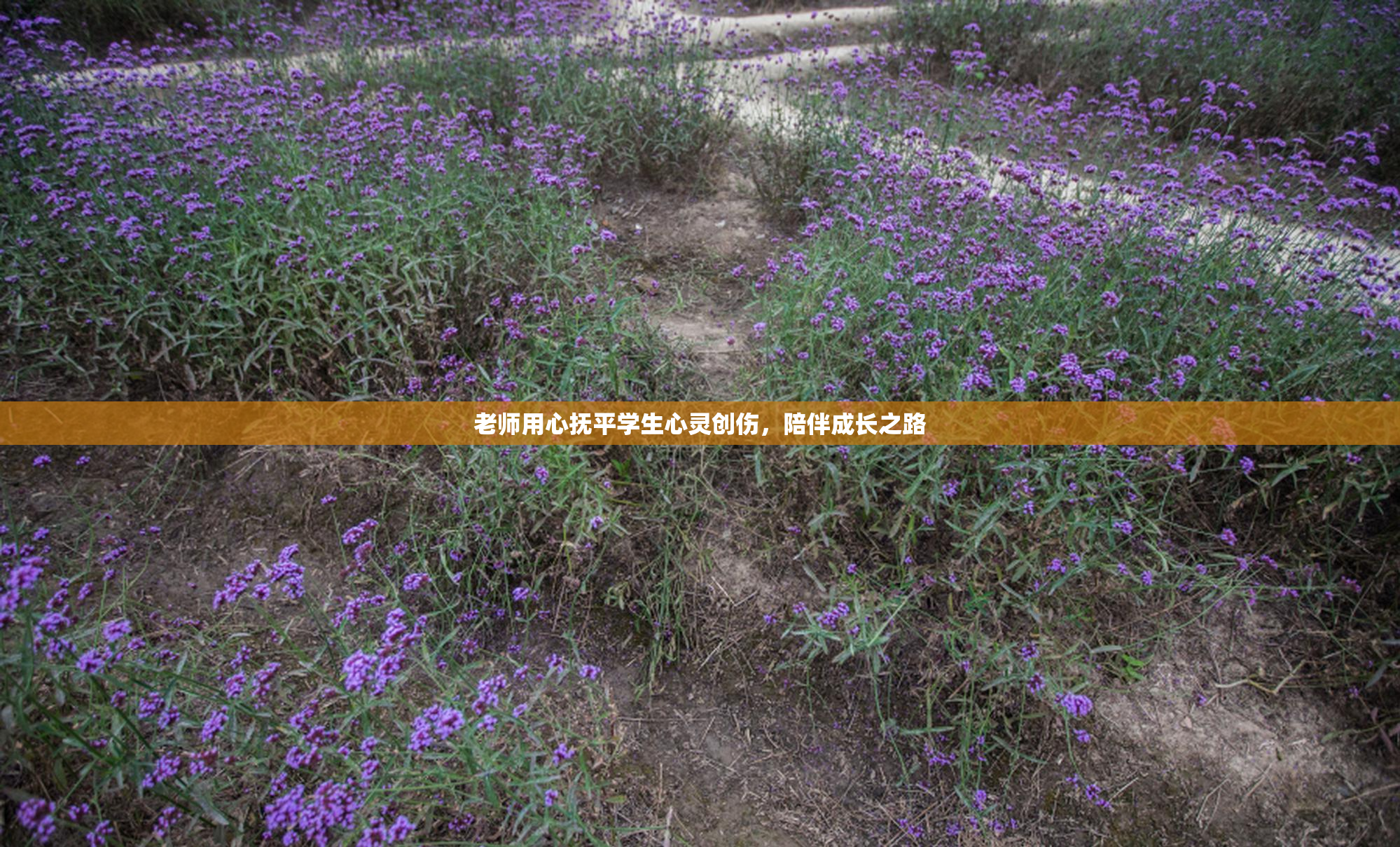 老师用心抚平学生心灵创伤，陪伴成长之路