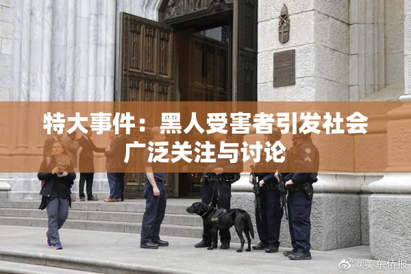 特大事件：黑人受害者引发社会广泛关注与讨论