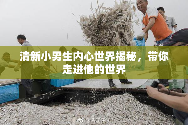 清新小男生内心世界揭秘，带你走进他的世界