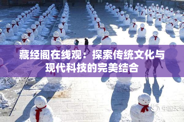 藏经阁在线观：探索传统文化与现代科技的完美结合