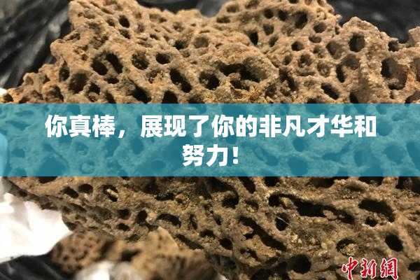 你真棒，展现了你的非凡才华和努力！