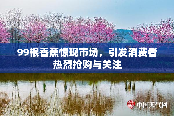 99根香蕉惊现市场，引发消费者热烈抢购与关注