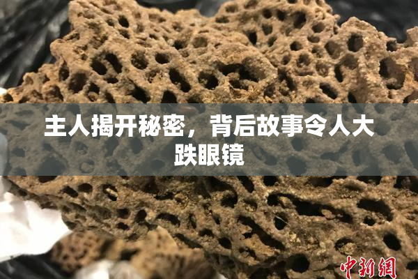 主人揭开秘密，背后故事令人大跌眼镜
